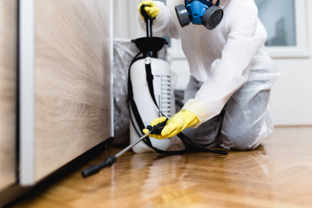 Trusted Greensboro, MD Pest Control Experts