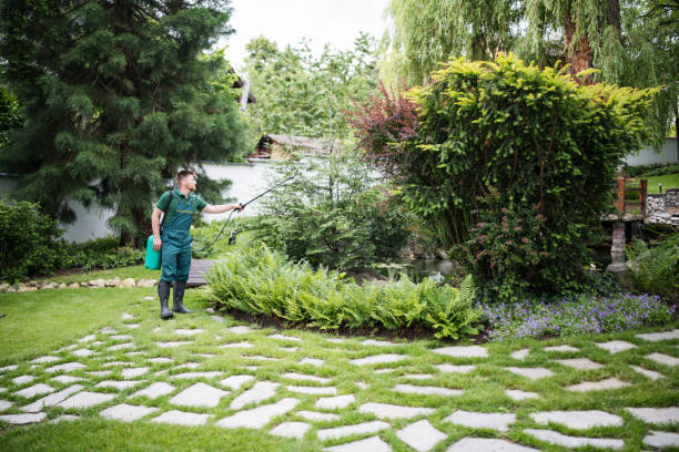 Best Pest Control for Businesses  in Greensboro, MD