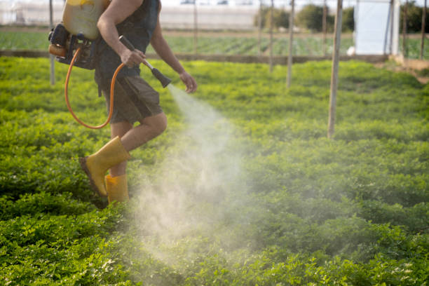 Best Best Pest Control Companies  in Greensboro, MD
