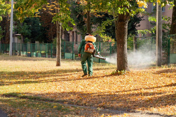 Bird Control in Greensboro, MD