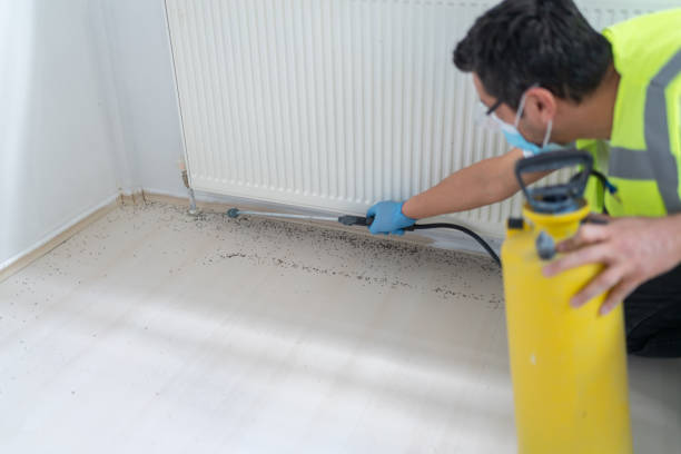 Best Bed Bug Extermination  in Greensboro, MD